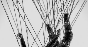 KORN «THE NOTHING» ROADRUNNER RECORDS