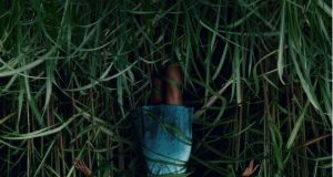 EN LA HIERBA ALTA NOS PRESENTA TRÁILER SUBTITULADO