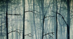 GRETEL Y HANSEL NOS PRESENTAN SU PRIMER PÓSTER