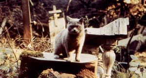 PODRÁ VERSE CEMENTERIO VIVIENTE EN EL CEMENTERIO DONDE SE RODÓ