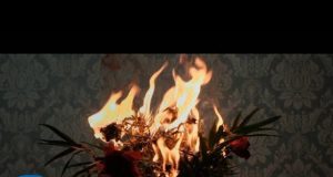 STONED AT POMPEII – Diarios de Cuarentena sobre el nuevo disco