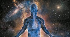 ALYANZA «LIFE HUMAN» THE FISH FACTORY