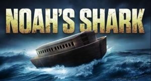 NOAH’S SHARK NOS PRESENTA SU TRÁILER OFICIAL