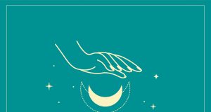 Zea Mays ‘Kemena’