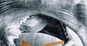 NANO VEGANO «SI NO HAY VIENTO REMA»