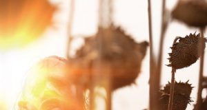 LA MATANZA DE TEXAS NOS PRESENTA SU NUEVO PÓSTER