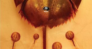 CRABS! NOS PRESENTA SU TRÁILER