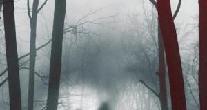 28 DÍAS PARANORMALES NOS PRESENTA SU TRÁILER