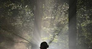 WOLF PACK, EL SPIN-OFF DE TEEN WOLF FICHA A SARAH MICHELLE GELLAR Y NOS ENSEÑA SU PRIMERA IMAGEN EN LA SERIE