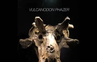 RESEÑA DE HIGH ON THE FLY DE VULCANODON PHAZER